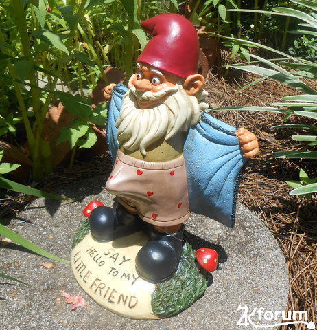 gnomepervert2crop_large.jpg.f5c043d34f225c990ff97336a5860cd0.jpg