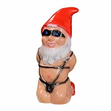 274238160_Gnomebdsm.jpg.1f2c37703360312f74471204dc1f89b4.jpg
