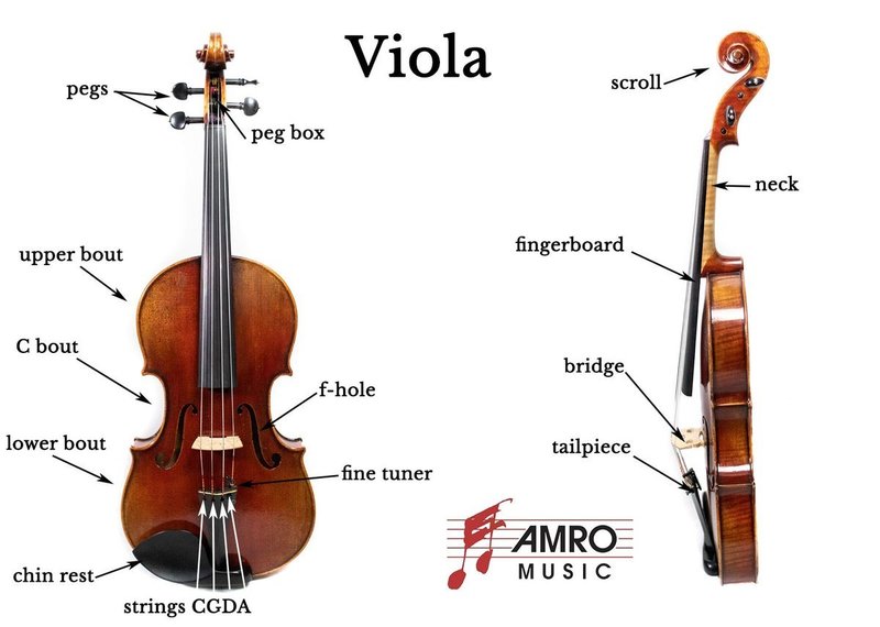 viola-parts-diagram-labeled.jpg