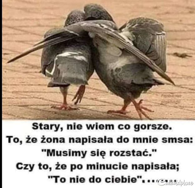 Screenshot_20201016-164502_One UI Home.jpg