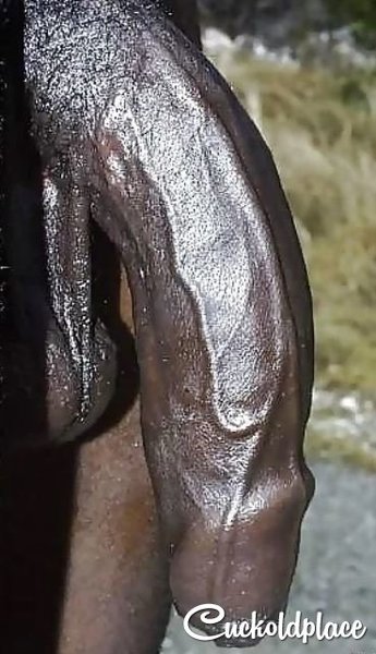 blackdick123456.JPG