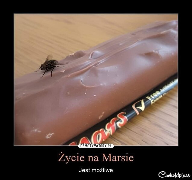 Zycie na marsie.jpg