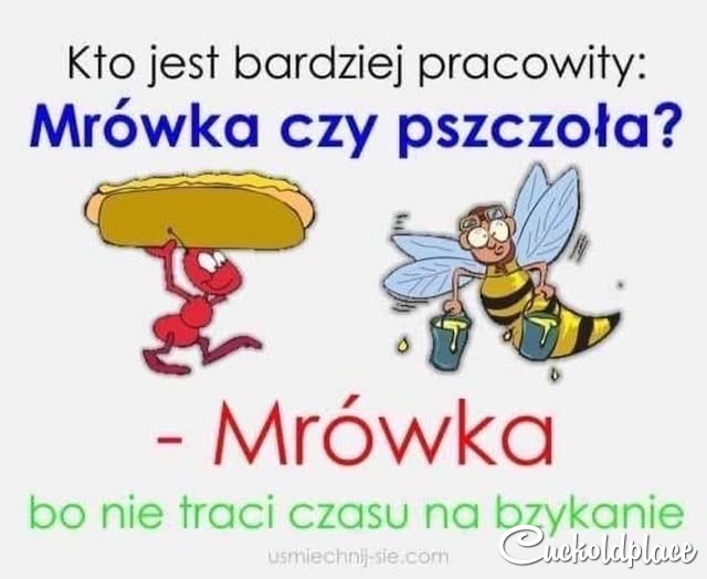 obraz.png.b45c899d5288d0cce7b269a2c5a686c1.png